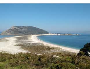 cies1
